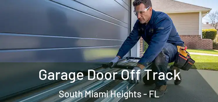  Garage Door Off Track South Miami Heights - FL