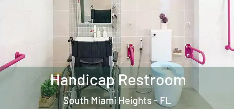 Handicap Restroom South Miami Heights - FL