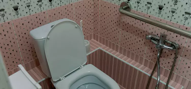Meeting Diverse Needs With Accessible Restroom Solutions in South Miami Heights, FL